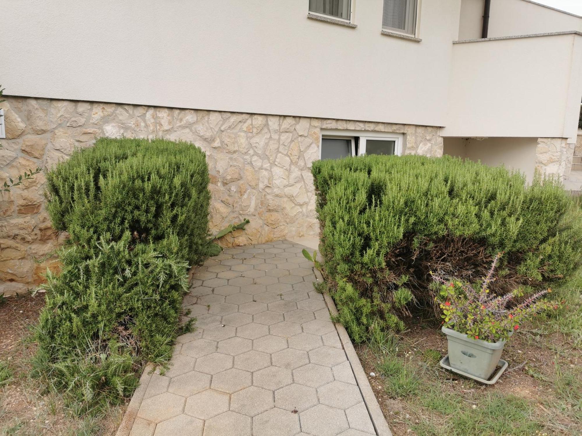 Apartments Riva Povljana Exterior photo